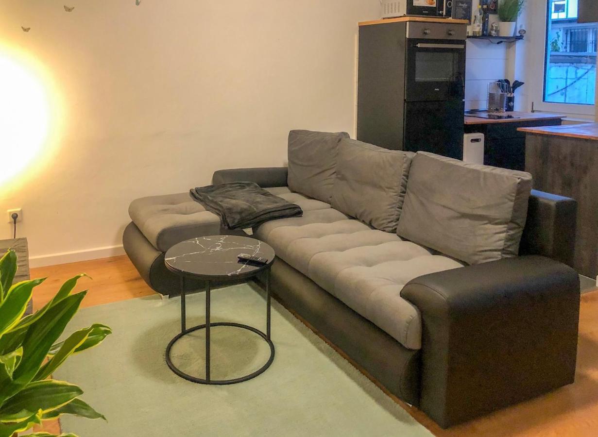 Апартаменты Gruene Oase Mit Balkon I Eg Дуйсбург Экстерьер фото